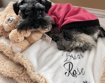 May include: A small black and grey schnauzer dog wearing a pink fleece sweater is lying on a white and beige fluffy blanket. The blanket has the name "Briar Rose" embroidered on it in black thread.