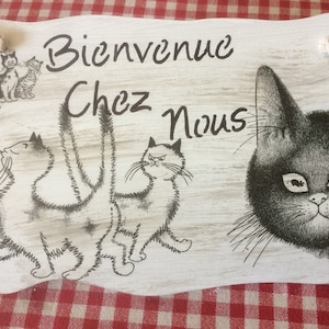 DOOR PLATE