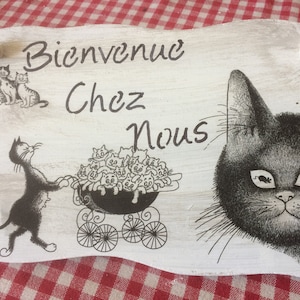 DOOR PLATE