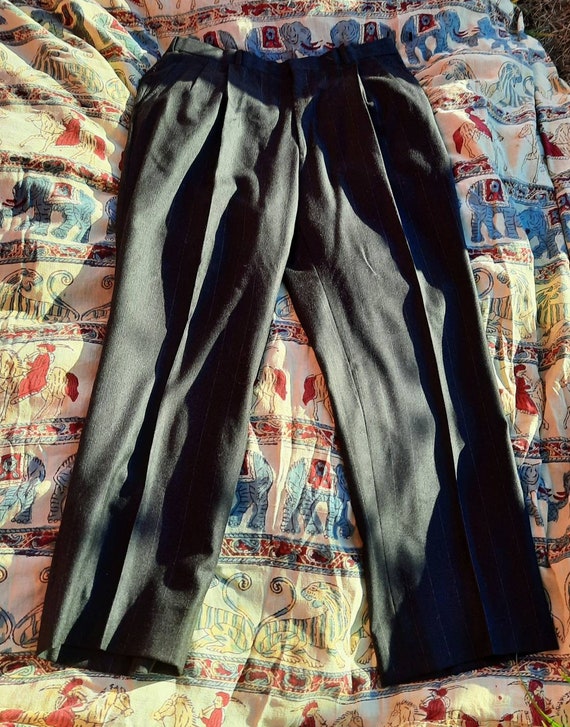Neiman Marcus Trousers, Wool Pleated Trousers, Pin