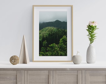 Koʻolau Forest - Hawaii Fine Art Print, Original Photograph, Medium Large Wall Art, Beach Tropical, Hawaii Rain Forest Print