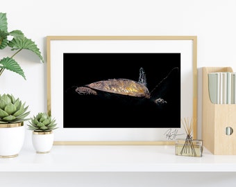 Honu in Space - Hawaii Fine Art Print, Original Photograph, Medium Large Wall Art, Beach Tropical, North Shore Oahu, Hawaii Turtle Print