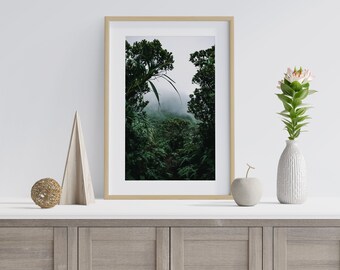 Koʻolau Gateway - Hawaii Fine Art Print, Original Photograph, Medium Large Wall Art, Beach Tropical, Hawaii Rain Forest Print