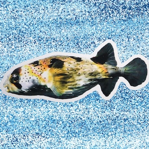 4&quot; Kōkala (Porcupinefish) Vinyl Sticker, Waterproof Sticker, Laptop Sticker, Car Sticker, Water Bottle Sticker, Hawaii Fish Sticker