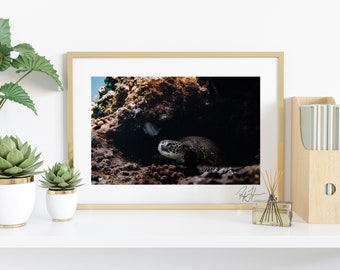 Honu House - Hawaii Fine Art Print, Original Photograph, Medium Large Wall Art, Beach Tropical, North Shore Oahu, Hawaii Turtle Print