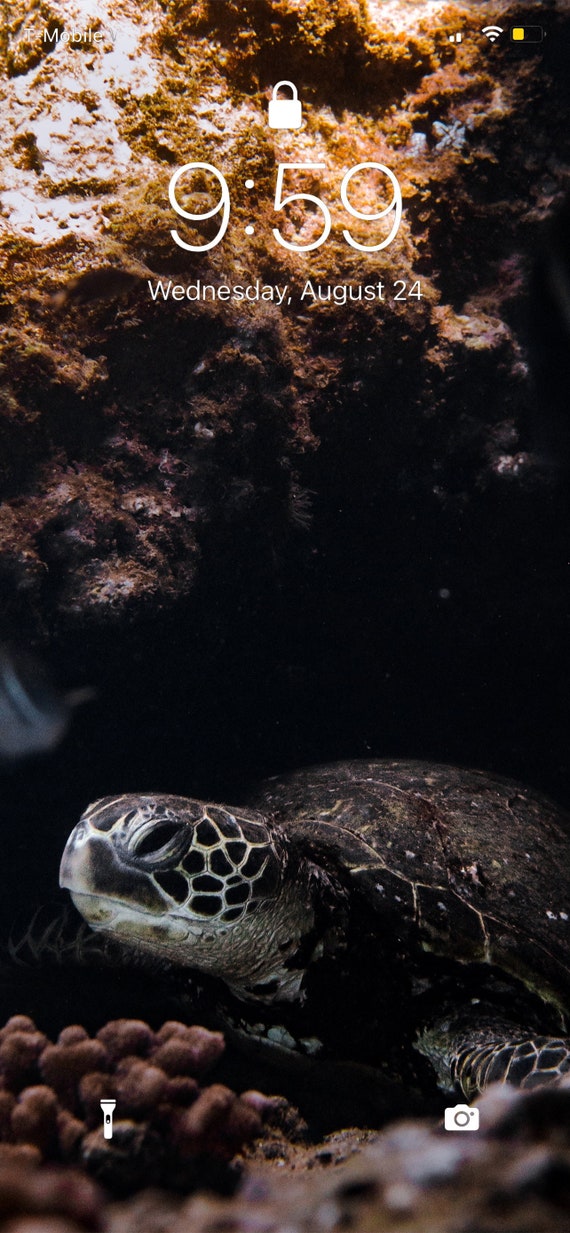Honu House Hawaii Iphone Wallpaper HD - Etsy Honu House Hawaii Iphone Wallpaper HD - Etsy