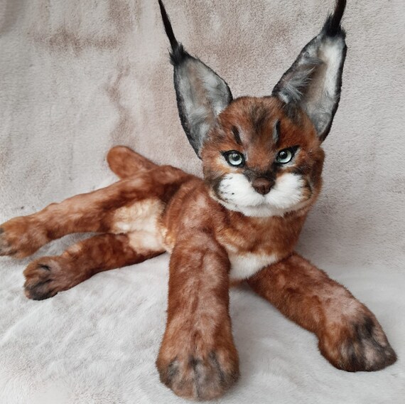 Chaton Caracal Peluche Caracale De Chat Caracal Realiste Etsy