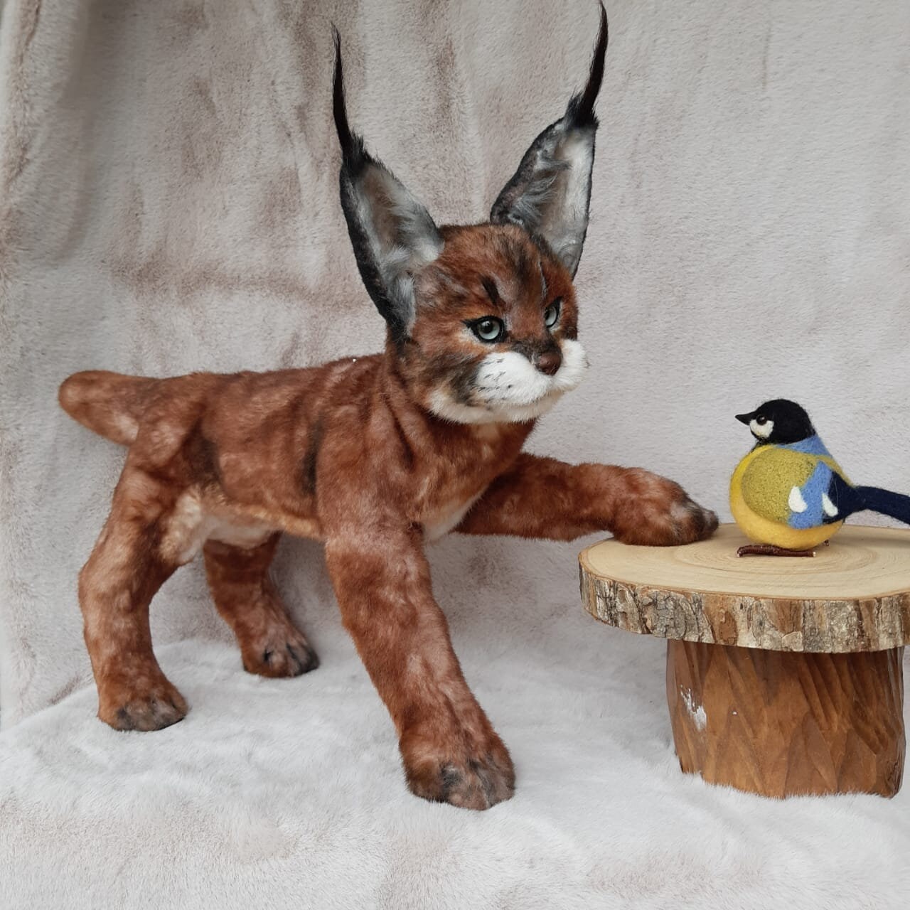 Caracal kitten/ caracal cat plush/ realistic caracal/ cat Etsy