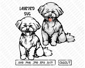 Download Bichon Silhouette Etsy