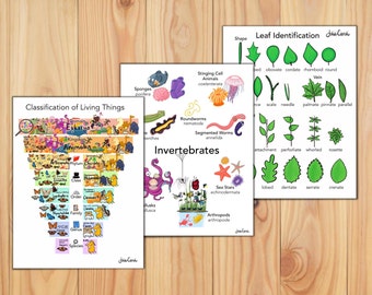 14 Biology Posters for Kids: Basic Life Science Memory Facts  on 8 1/2” x 11” Cardstock