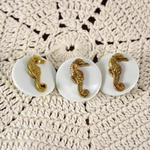 May include: Three circular white buttons, each featuring a raised, metallic gold-toned seahorse emblem centered on the surface. The buttons have a smooth, glossy finish and a distinct, textured seahorse design with visible detailing on the body.