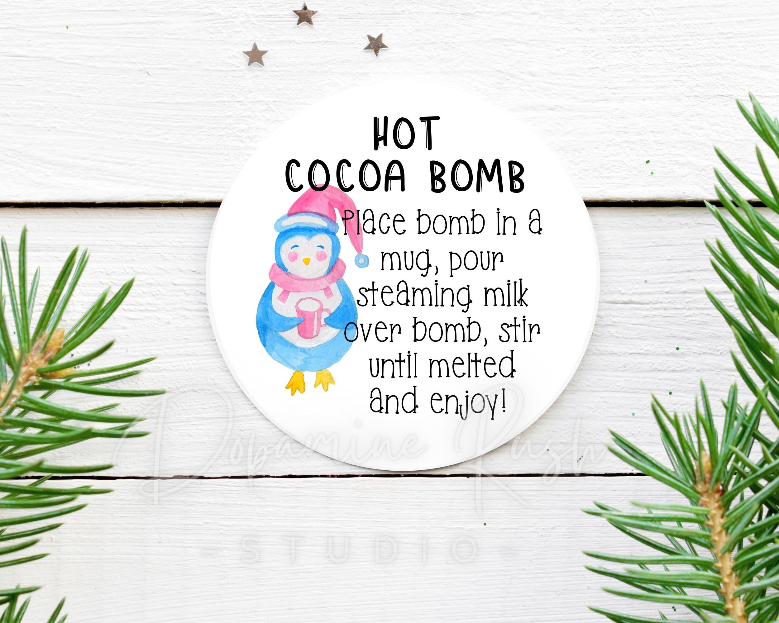 Printable Hot Cocoa Bomb Instructions Round Tag Printable Hot Etsy