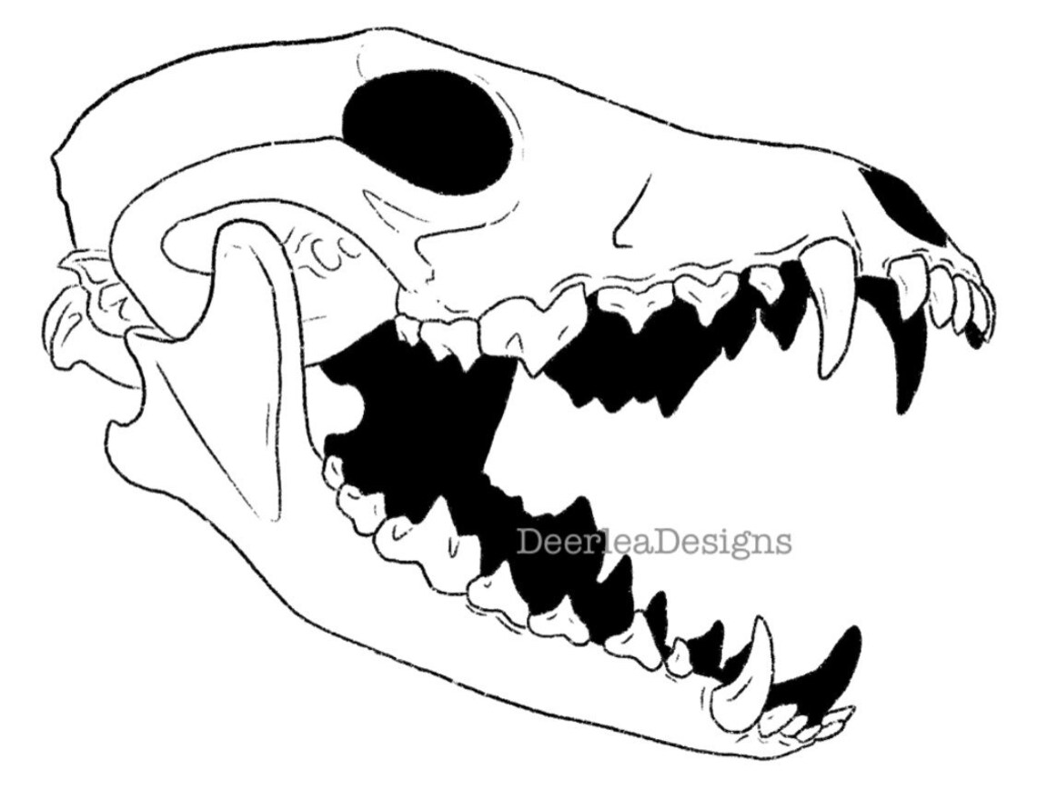 Holographic Glitter Skull Sticker / Coyote Skull Sticker / | Etsy