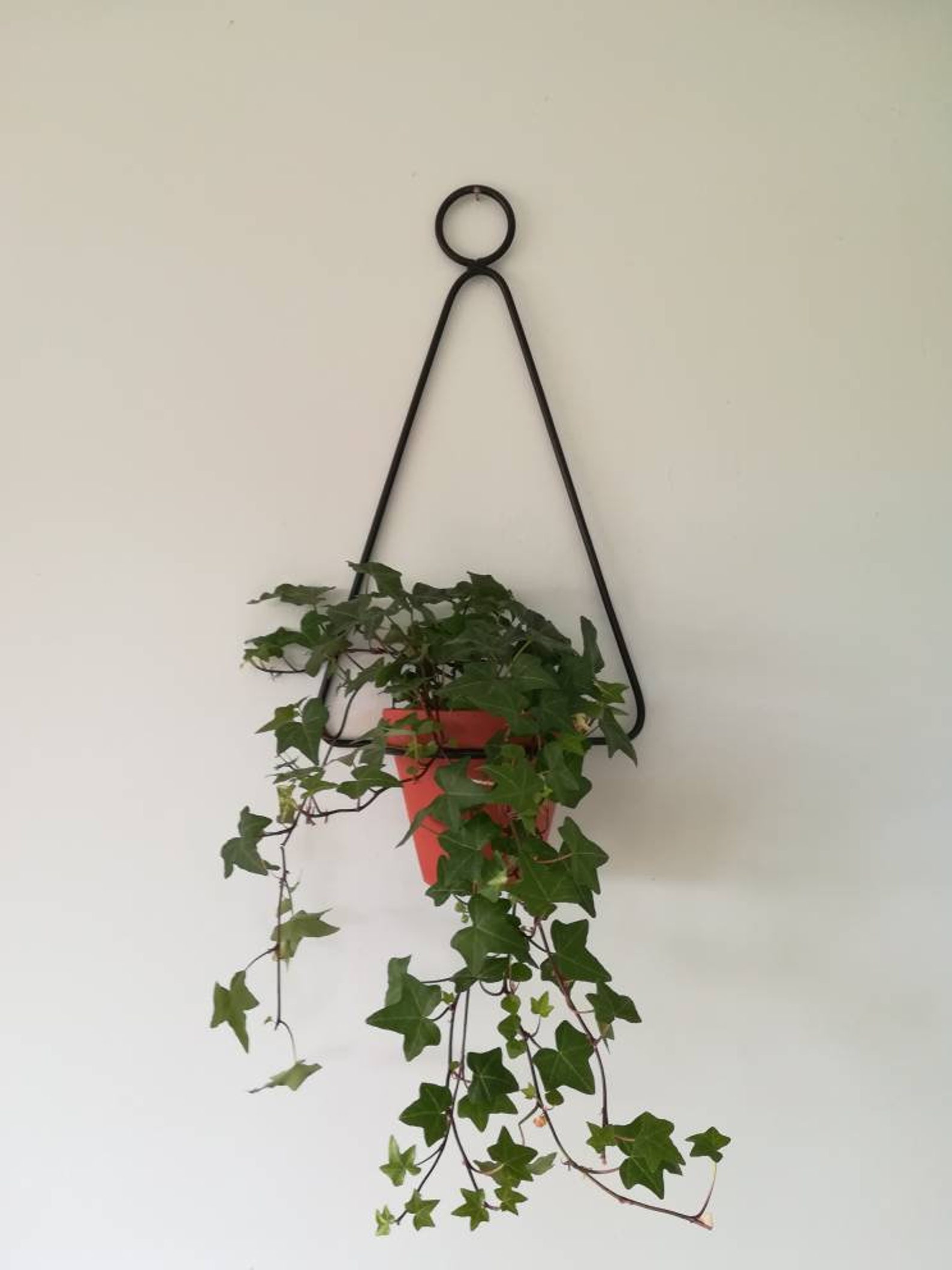 Wall Planter metal plant holder wall mounted plant holder Etsy
