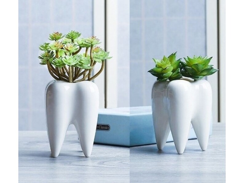 Ceramic Tooth Vase Flowerpot Table Plant Pot Teeth Vase White Etsy