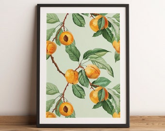 APRICOT | Modern Illustration | Wall Art | Printable Digital Download | Kitchen Decor