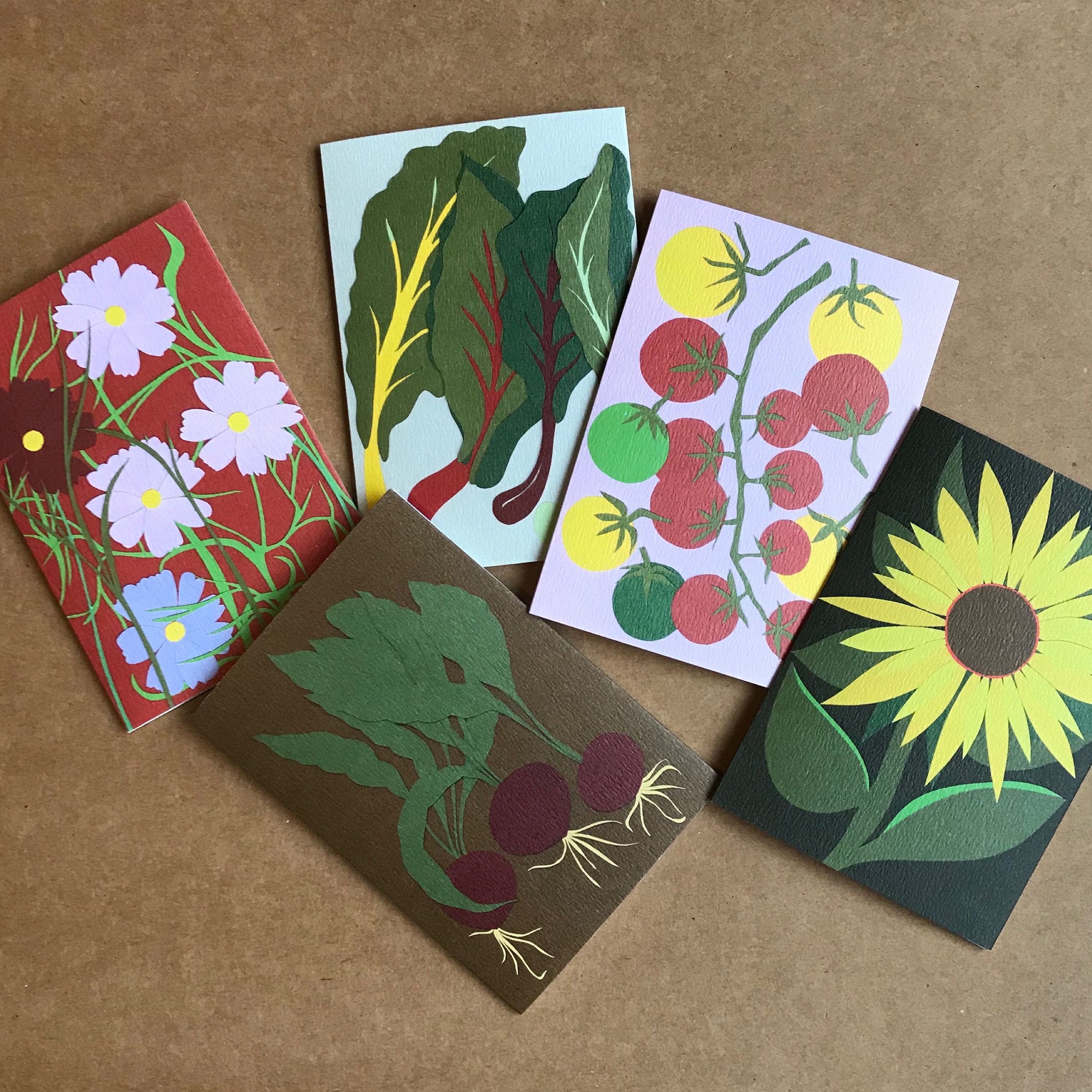Seed Cards Collection pack of 5 Etsy