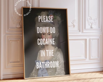 May include: A framed print with a vintage portrait of a woman with a flower crown. The text on the print reads "Please don't do cocaine in the bathroom."