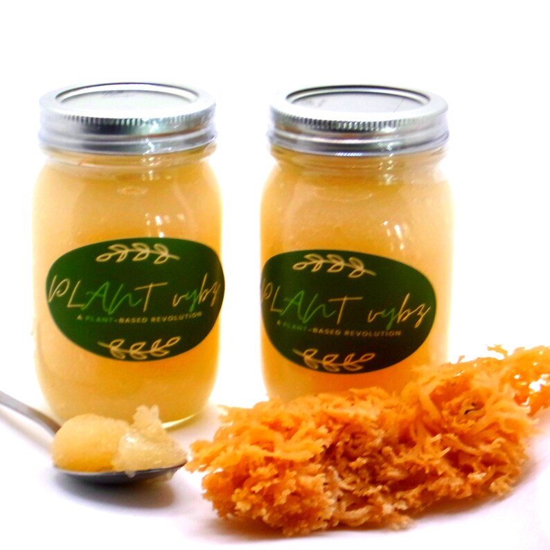 100 Wildcrafted Jamaican Sea Moss Gel 16 Oz Etsy