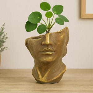 Pflanzentopf Pflanzkopf Kopf Vase Skulptur Topf Blumentopf Deko Büste Bronze