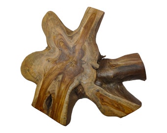 Teak teak teak tree slice root wood polished tree slice slice wood slice