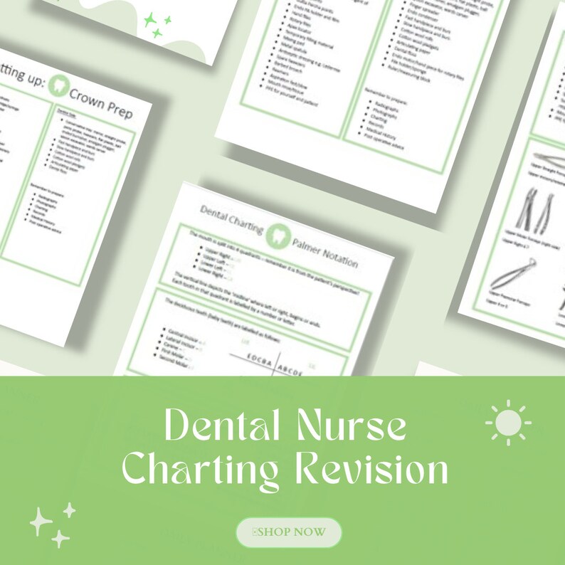 Dental Nursing Charting Revision Etsy