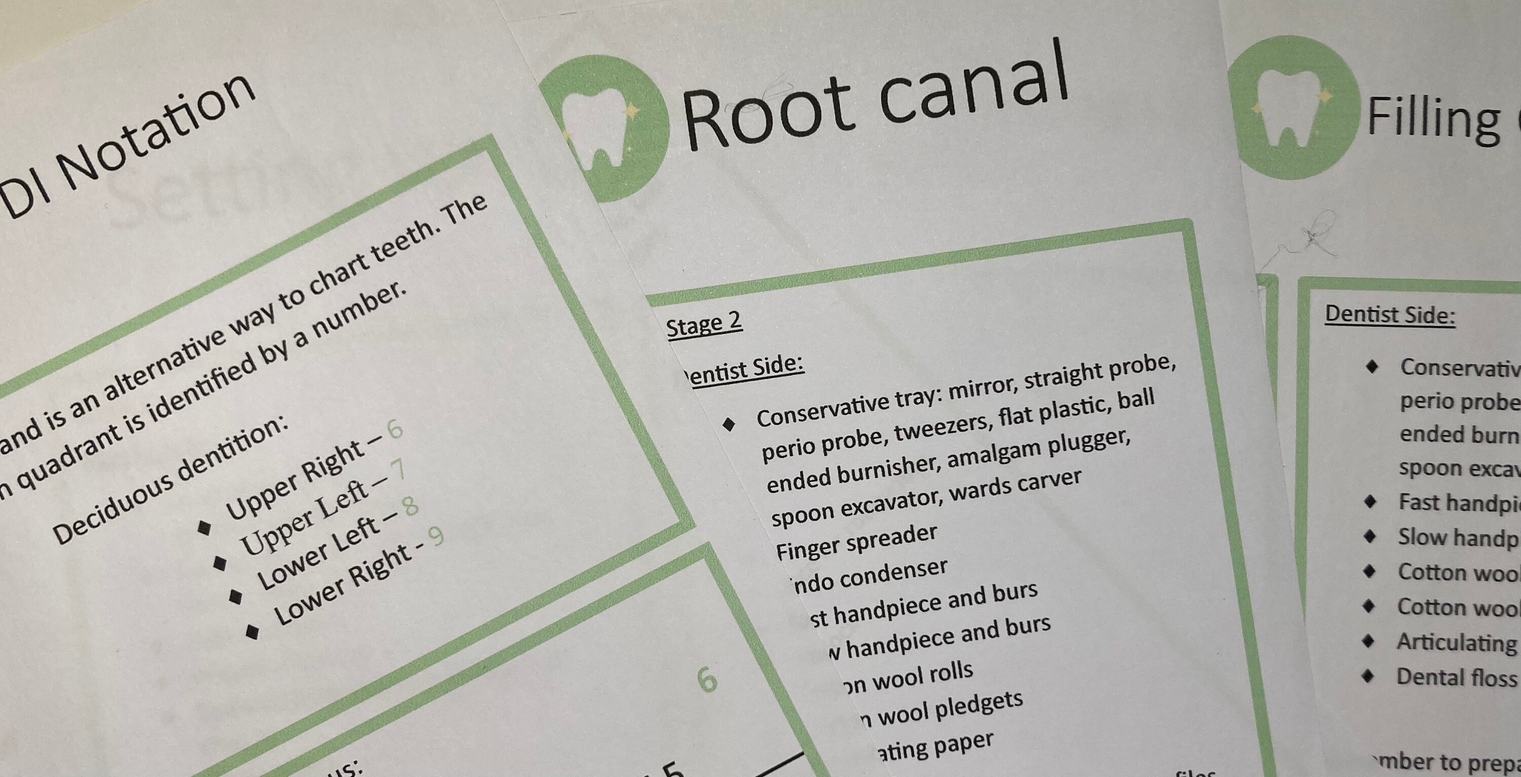 Dental Nurse Revision Bundle: Charting, Crowns, Root Canal, Extractions ...