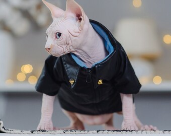 cat in leather jacket