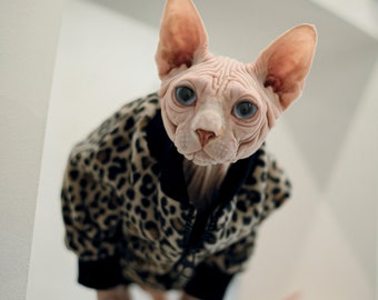 Manteau Chat Sphynx Etsy