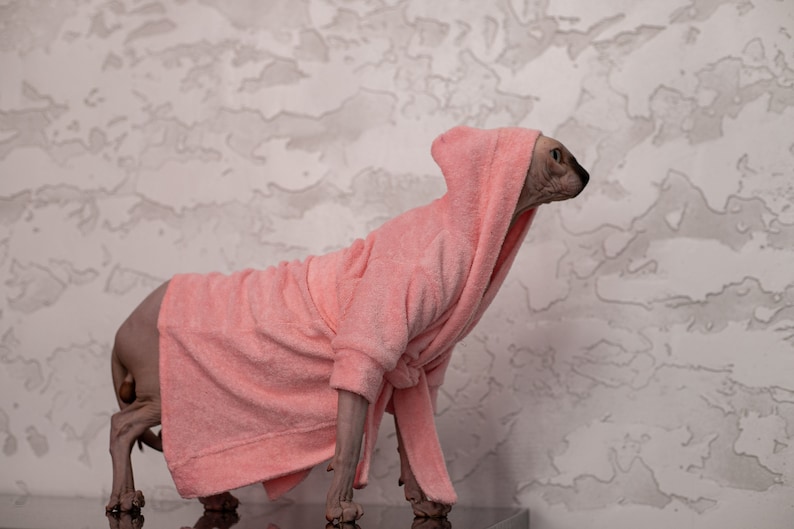 Clothes for Cat Sphynx Cat Clothes bathrobe for Cat. Bathrobe Etsy