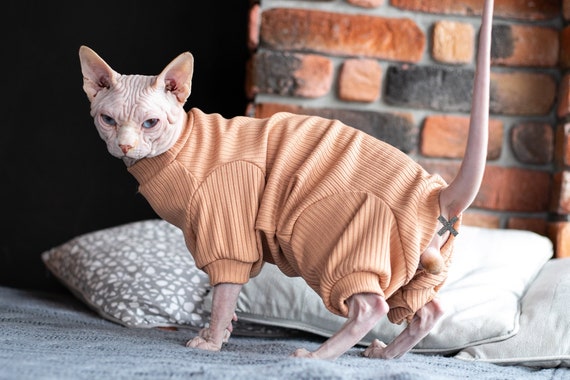 Body pour chat vetements pour chats Le meilleur pour votre ami Vetements de patte. Jolie combinaison chat Etsy France