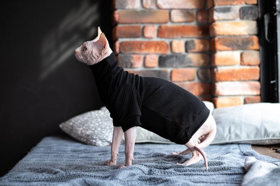 Turtleneck for Cats Soft Cozy Stylish Cat Turtleneck Sweater Perfect for Your Cat Sphynx Cat Clothes Turtleneck Etsy