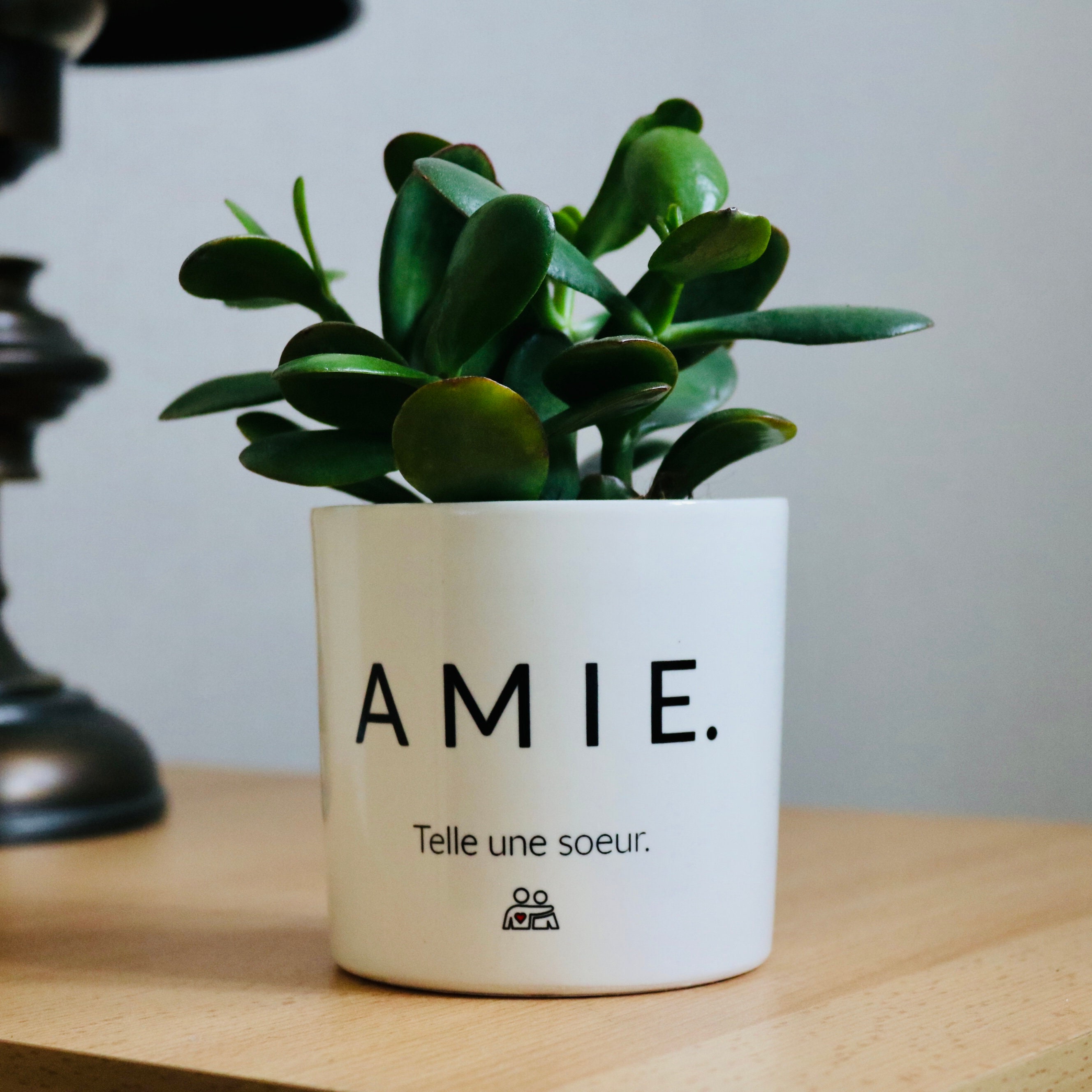 Cadeau Personnalisé Original Pour Une Amie | Pot de Fleurs Amie Plante Personnalisable Fait en Franc