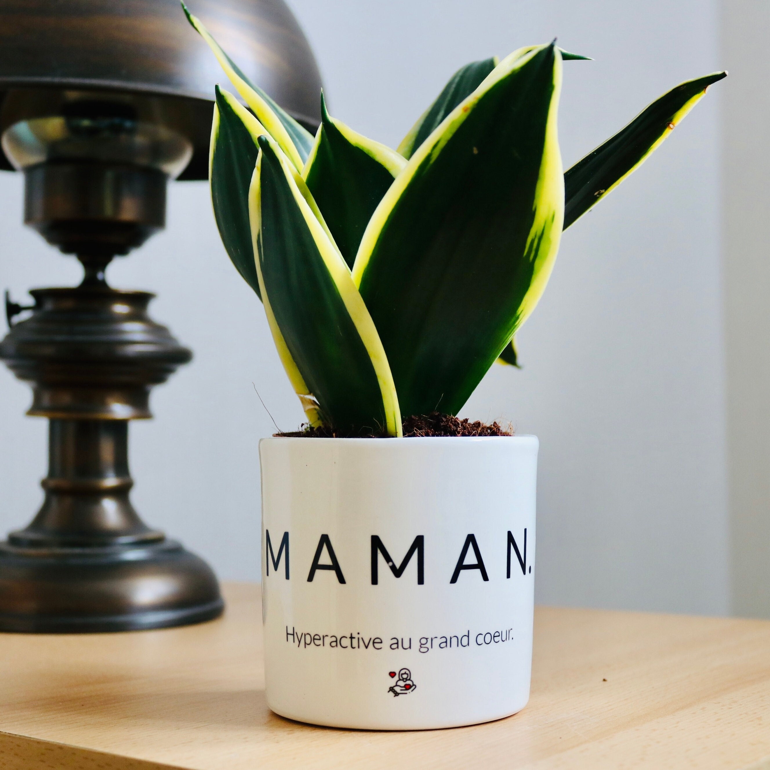 Cadeau Fête Des Mères | Pot de Fleurs Maman Cadeau Personnalisé Original Pour Une Maman Plante à Off