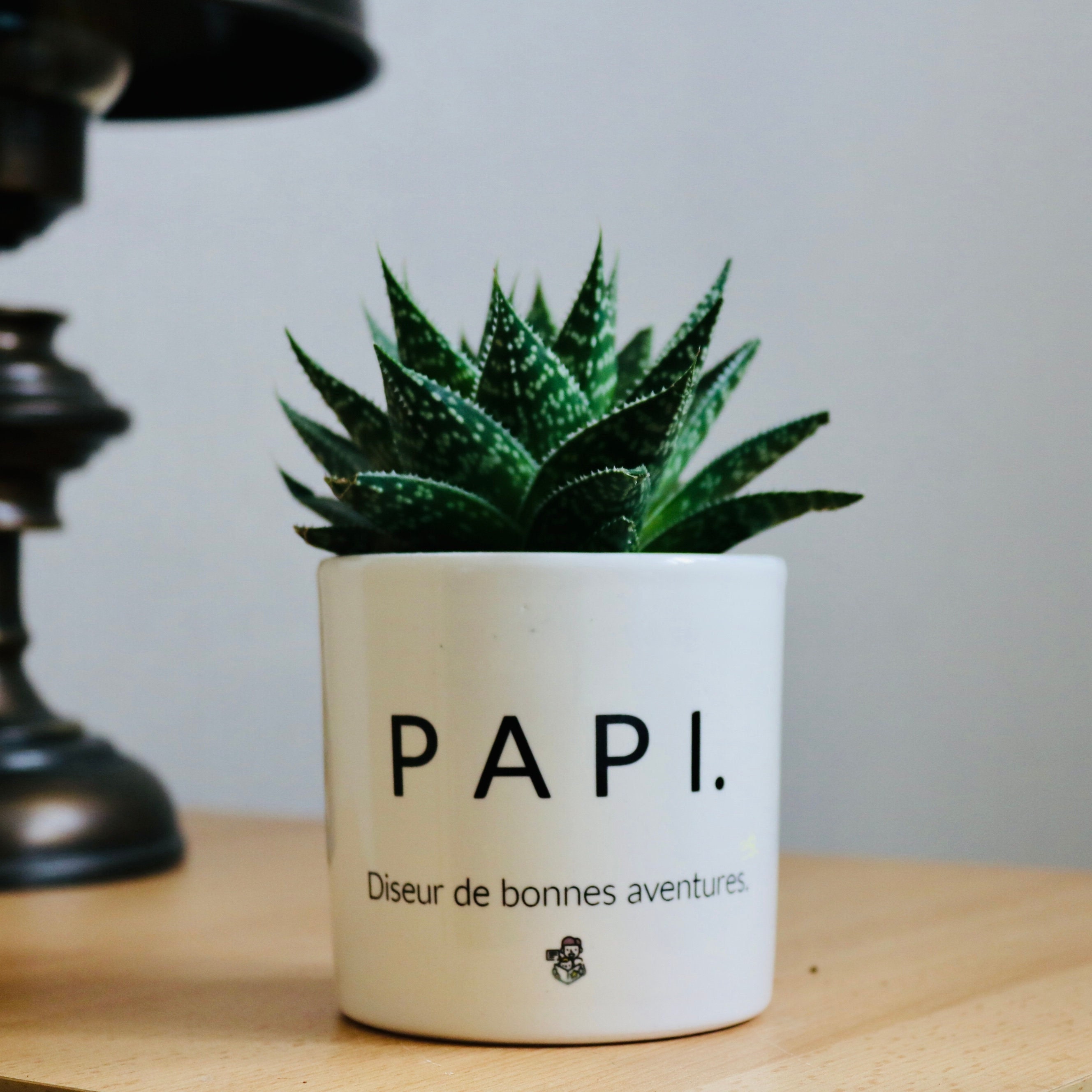 Cadeau Fête Des Grands-Pères | Pot de Fleurs Papi Cadeau Original Pour Un Papi Plante à Offrir Fait 
