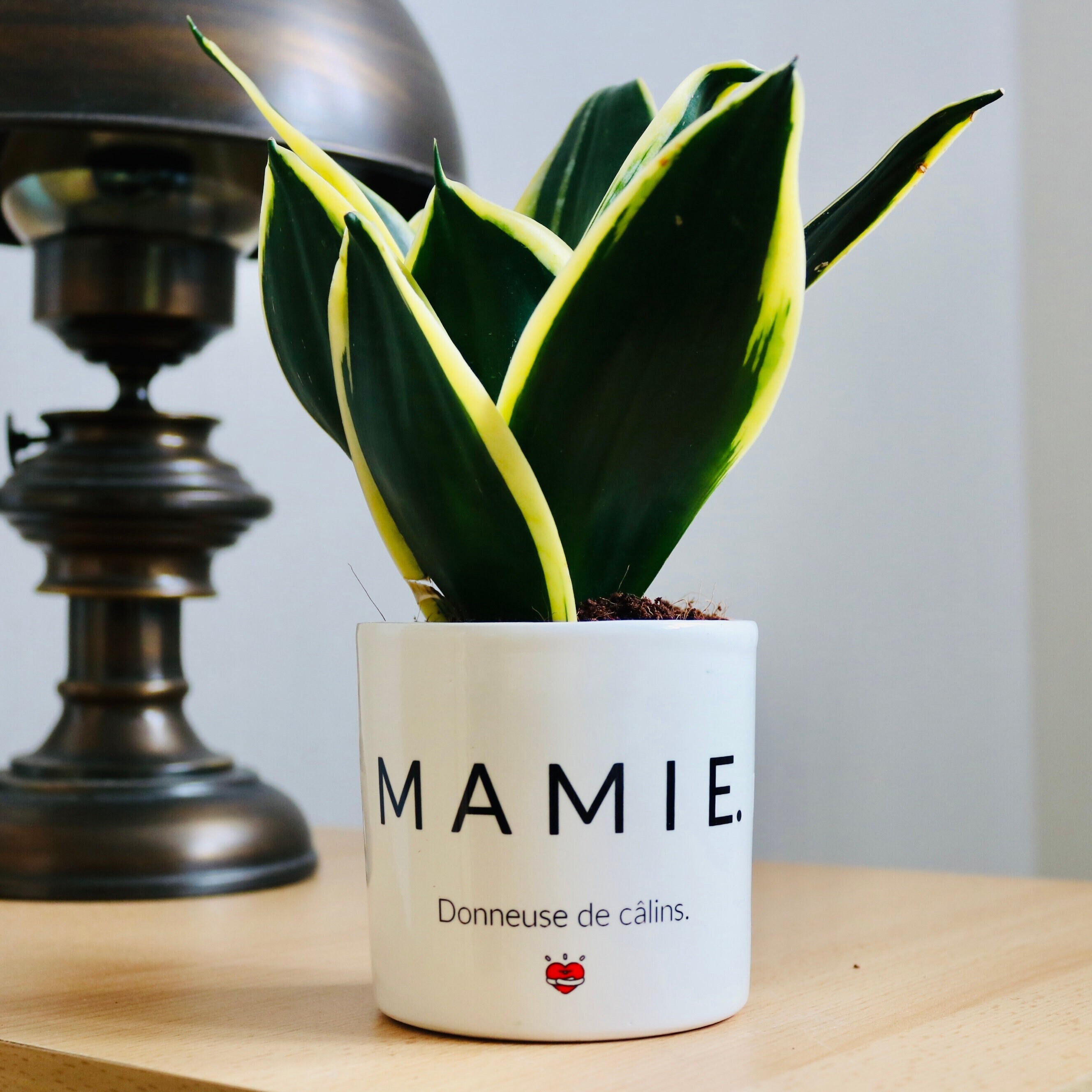 Cadeau Personnalisé Original Pour Sa Mamie | Pot de Fleurs Mamie Plante à Offrir Fête Des Grands-Mèr