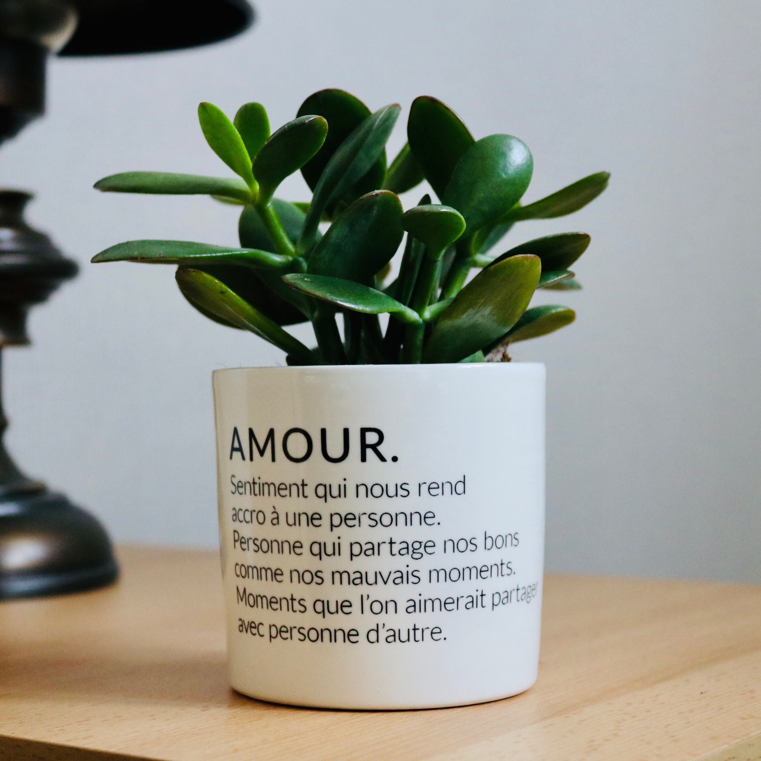 Cadeau Original Pour Son Amoureux(Se | Pot de Fleurs Définition L'amour Plante à Offrir Sanoa Saint 