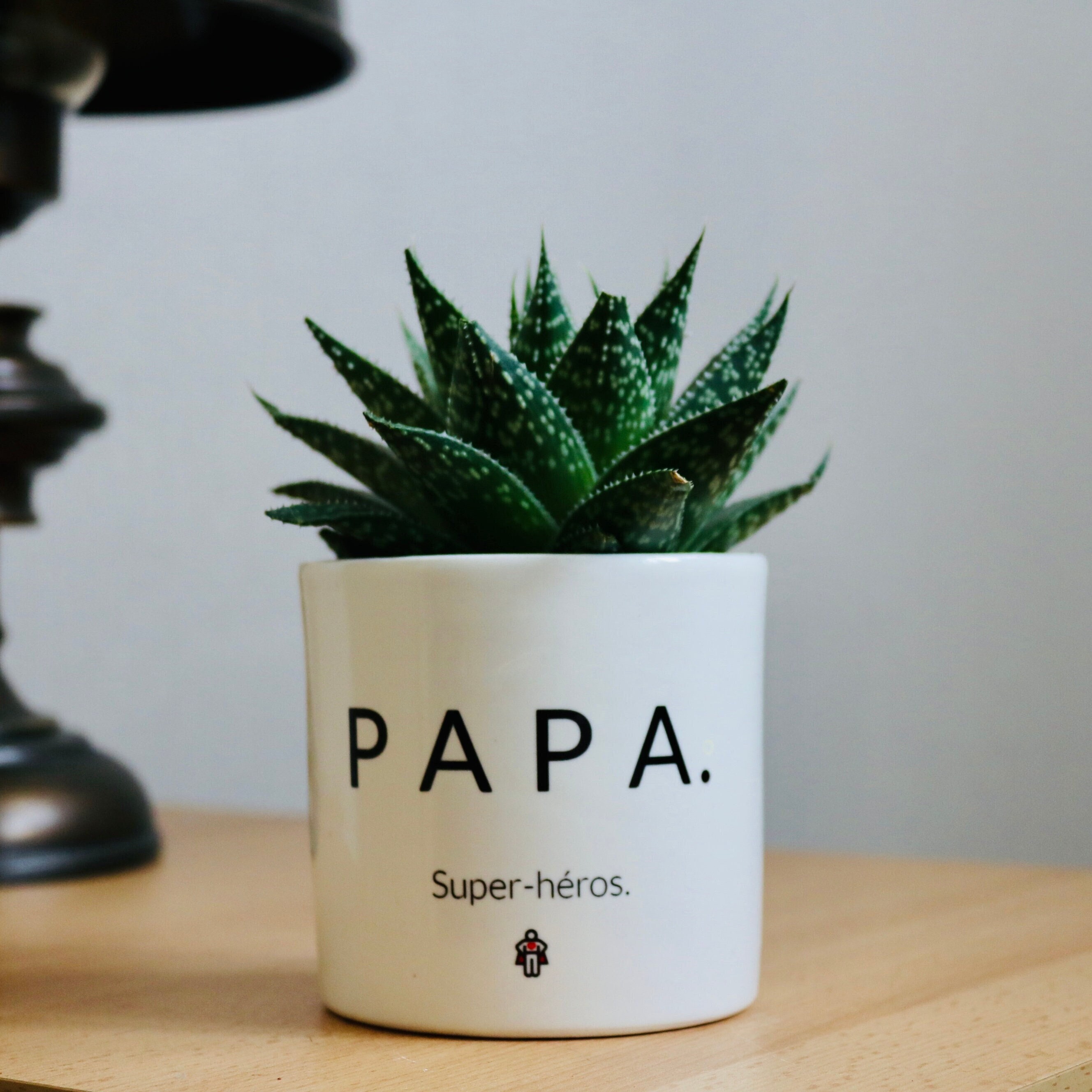 Cadeau Fête Des Pères | Cadeau Personnalisé Original Pour Son Papa Pot de Fleurs Papa Plante à Offri