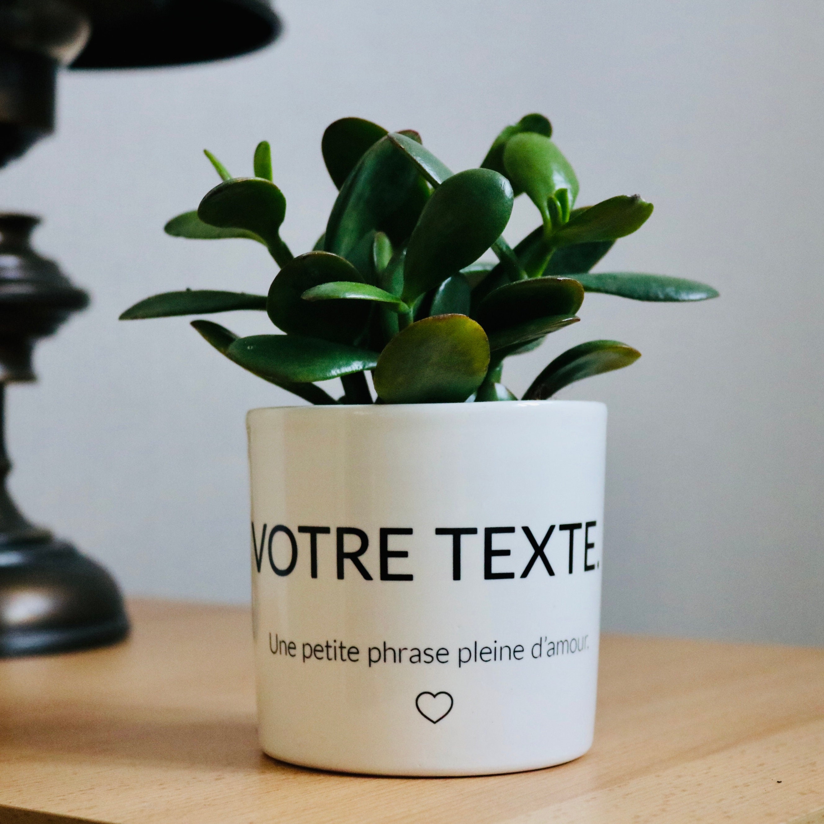 Pot de Fleurs à Personnaliser | Cadeau Original Personnalisé Pour Toutes Les Occasions Plante Offrir