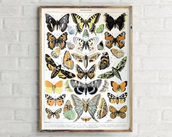 Vintage Schmetterling Collection Poster 1, Retro Wand Kunstdruck