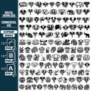 Pacote de PNG SVG ELEFANTE FLORAL, Cabeça de elefante svg, Animal floral svg, Flores de elefante svg, Flores de animais svg, Arquivos de corte de elefante