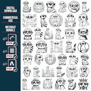Suricate SVG Png gros lot, suricate Svg, suricate Png, clipart suricate, tête de suricate, suricate couper des fichiers pour Cricut, lunettes de soleil, chapeau, fleur