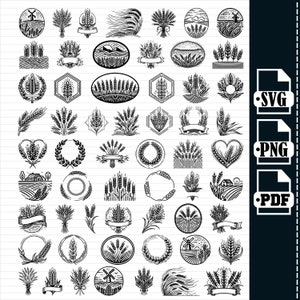 Tarwe SVG-bundel, tarwe SVG, graan Svg, tarwe Clipart, tarwe gesneden bestanden voor silhouet, tarwe bestanden voor Cricut, Vector, ontwerp, Svg, png,