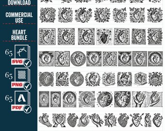 Anatomisch hart SVG megabundel, medische illustraties (digitale download)