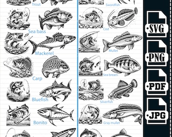 May include: A black and white illustration of 12 different types of fish, including trout, swordfish, sea bass, mackerel, carp, cod, mullet, sea bream, bluefish, silverfish, bonito, anchovy, grey mullet, and pangasius. The illustrations are in a vintage style and are perfect for use in a variety of projects.