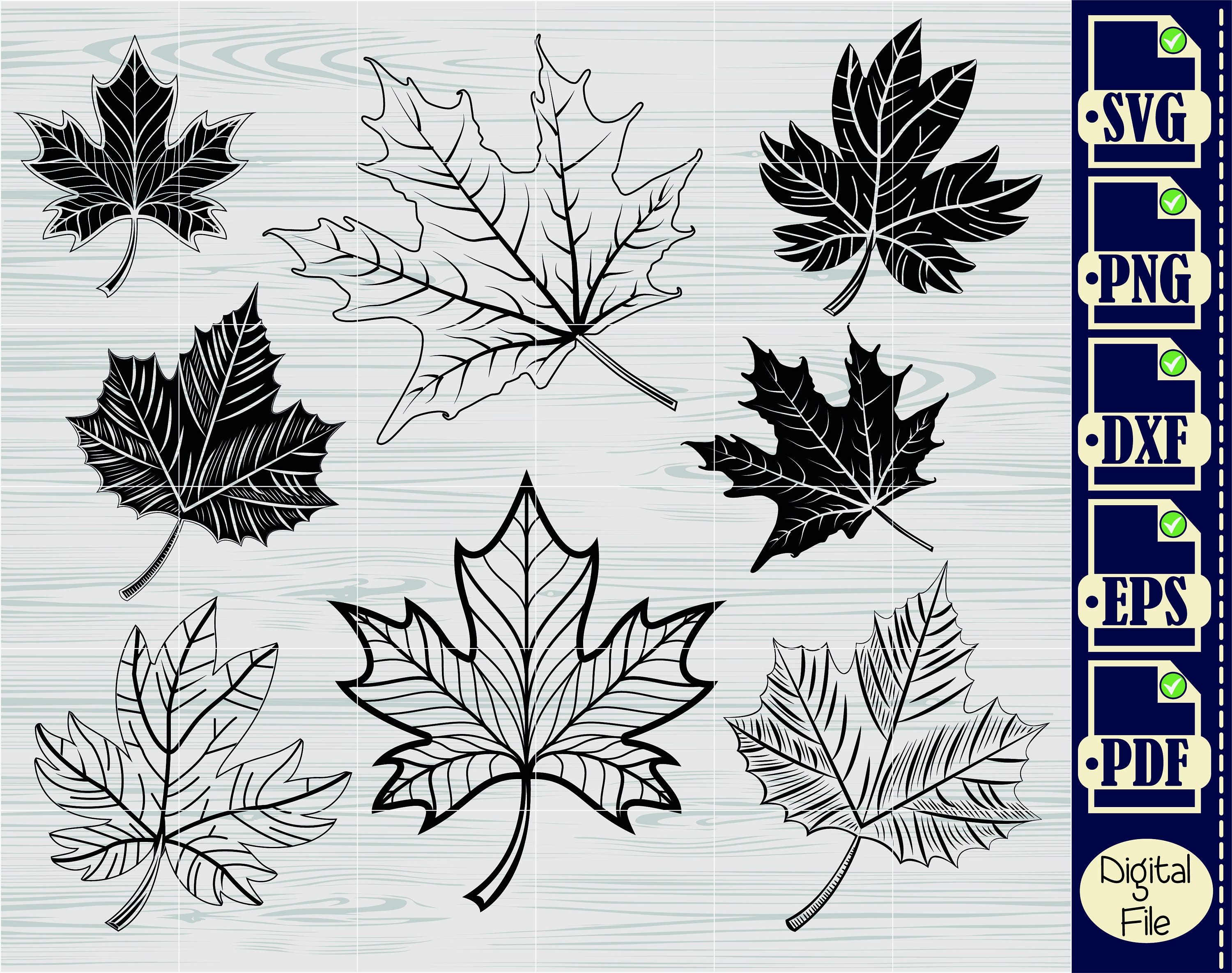 Pacchetto SVG foglia d'acero, SVG foglia d'acero, Clipart foglia d'acero, File di taglio per silhouette, File per Cricut, Vettore foglia d'acero, Design, Dxf, Png,