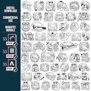 MANATEE SVG Png Mega Bundle, Blumen Manatee png, Manatee Vektor, Manatee Clipart, Meereskreaturen svg, Nautische svg Blumen Manatee digitale Datei