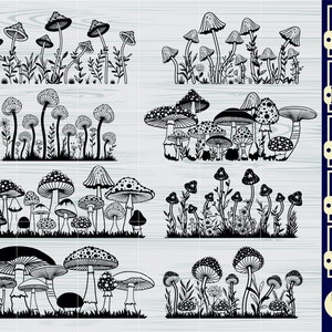 Pilze, Pilze, Schnecke, Pilze, Pilze, Pilze, Pilze, Pilze, Pilze, Pilze, Pilze, Pilze, Pilze, Pilze, Pilze, Pilze, Pilze, Pilze, Pilze, Pilze