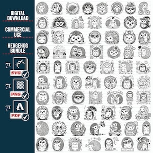 HEDGEHOG SVG Png Mega Bundle, Floral Hedgehog svg, Hedgehog Flowers svg, arquivo de corte Floral Hedgehog SVG, Animais de estimação florais, Animais da floresta, outono