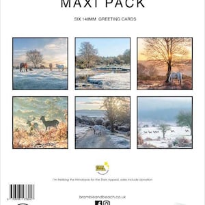 Blanco New Forest Winter-kaarten: 6 kaarten op volledig formaat enveloppen Donatie voor goed doel Gratis verzending van 0,83 pence per kaart! Kwaliteitsdikte koolstofgevangen